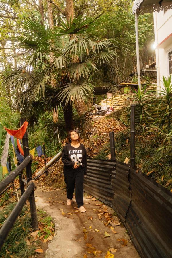 Hostel Zemu Gangtok Zewnętrze zdjęcie